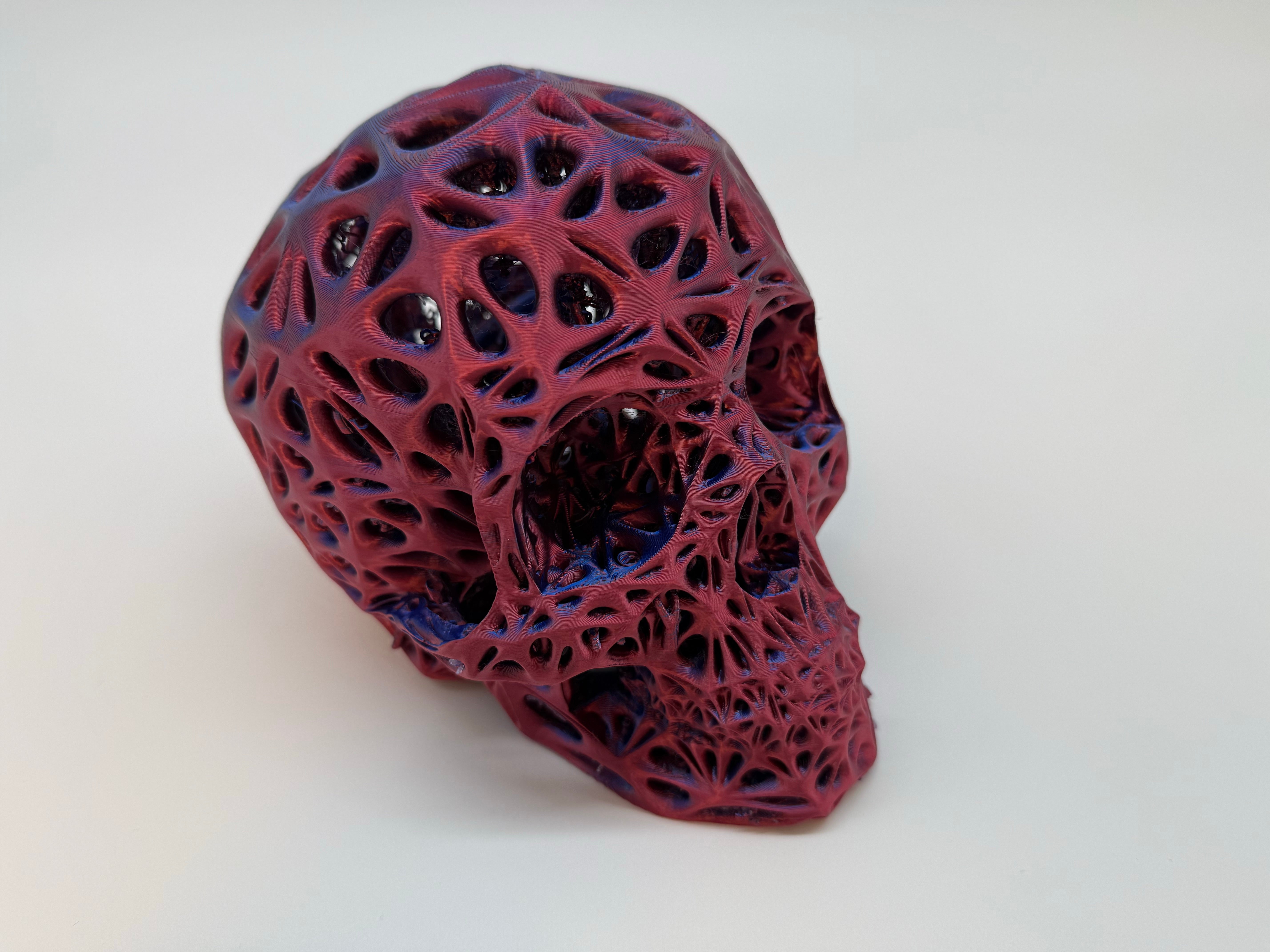 Full Size Human Skull - Premium Quality